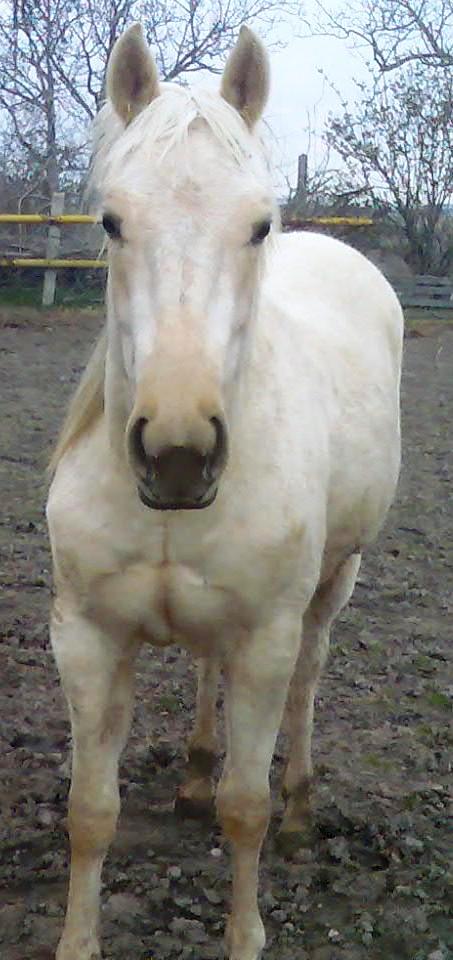 Obraz050.jpg