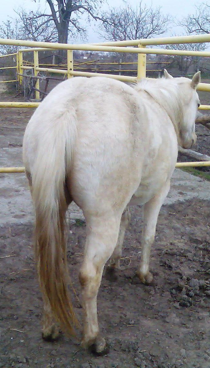 Obraz047.jpg
