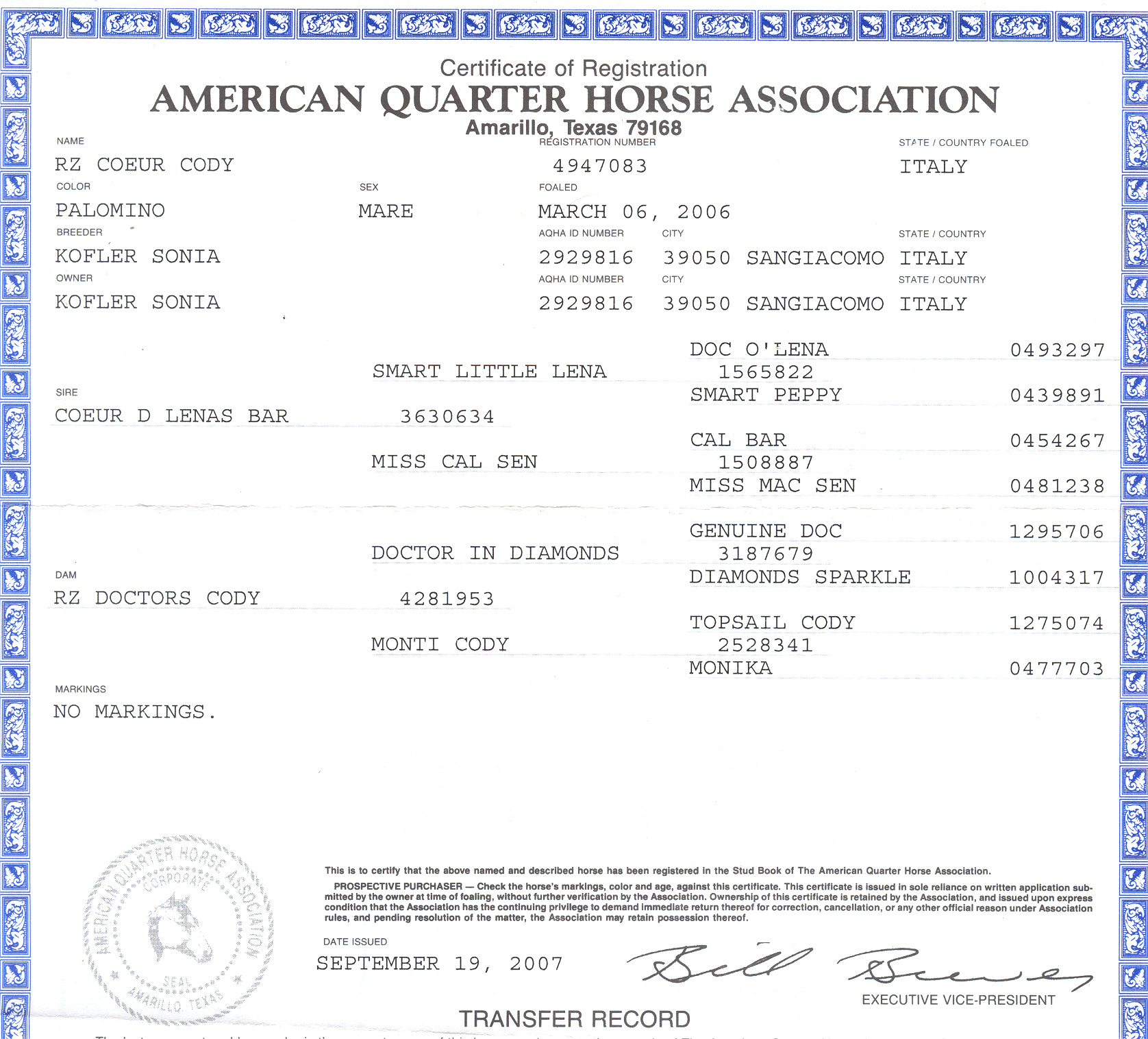 scan.jpg