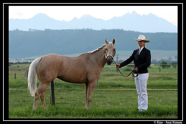 Rz Coeur Cody & Mountain Tatra