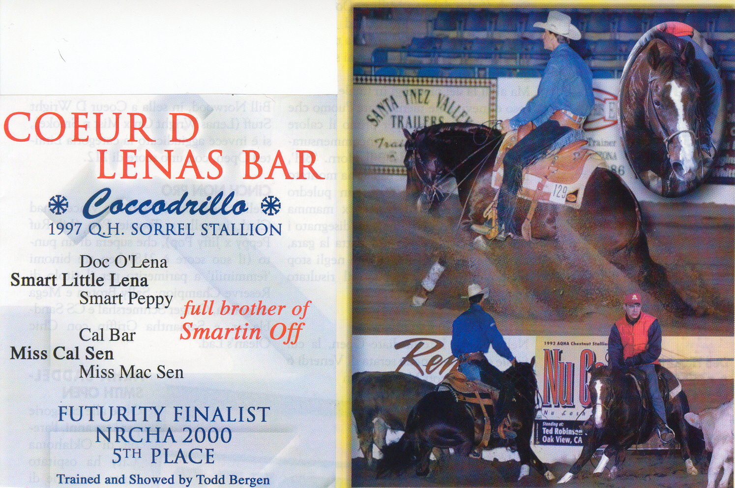 Coeur D Lenas Bar.jpg