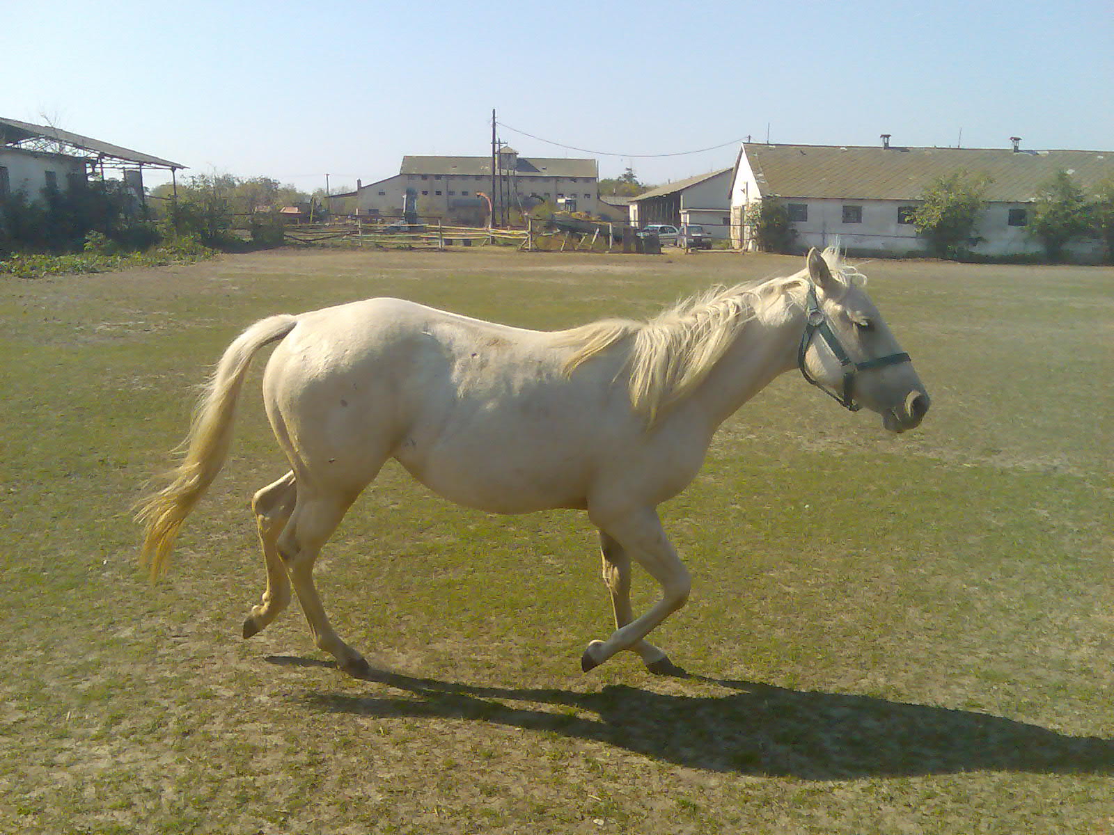 12.08.2007 051.jpg
