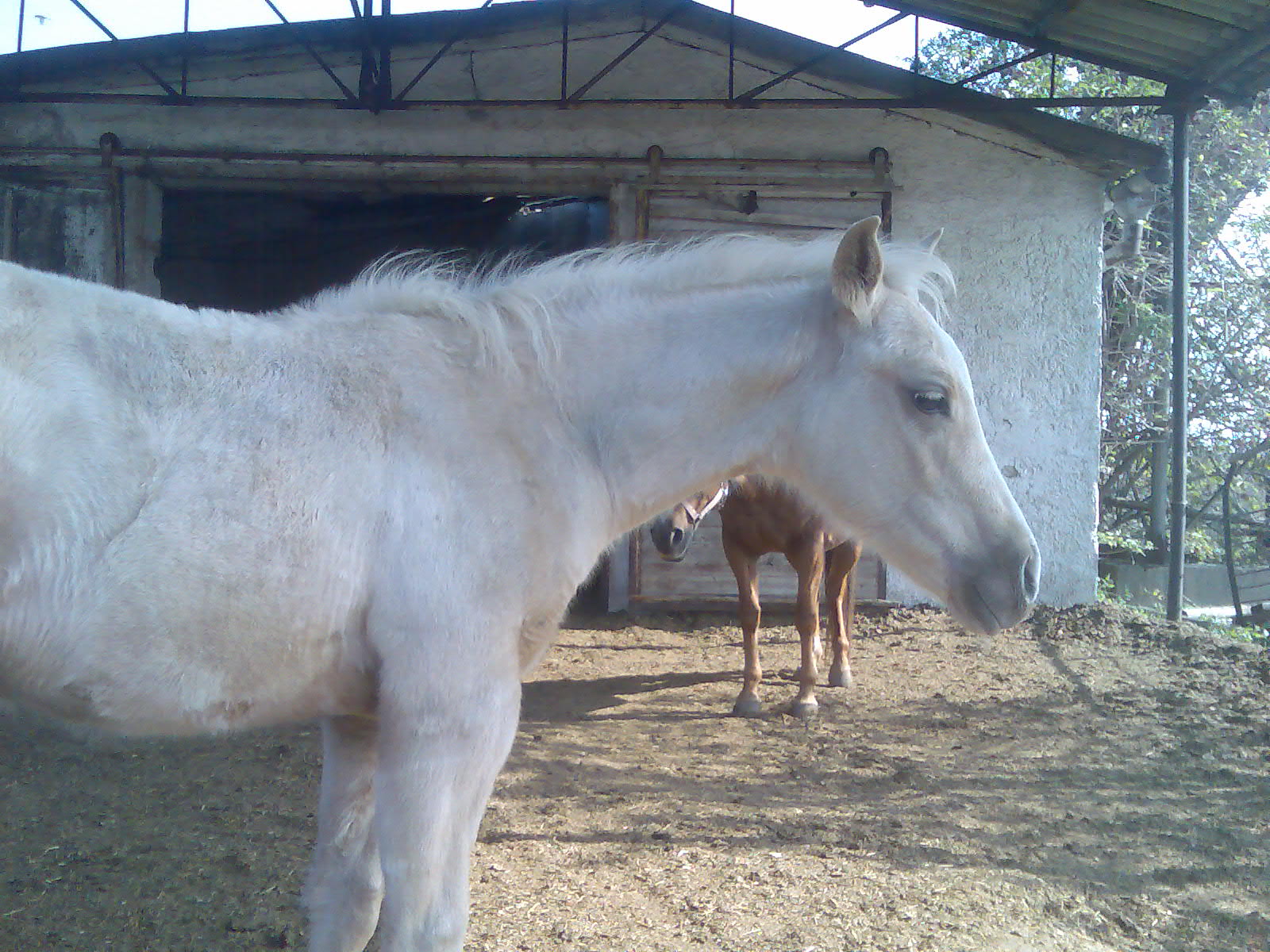 12.08.2007 046.jpg