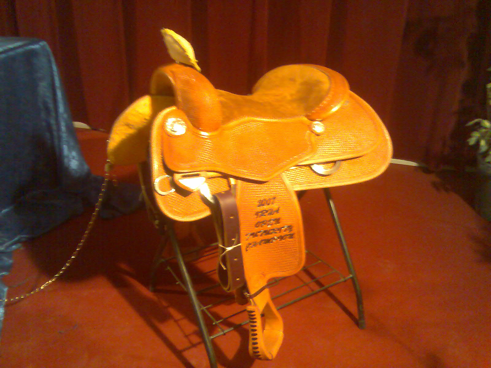 Bob`s for Winner in Italy Futurity 2007.jpg